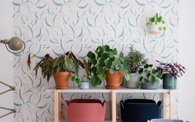 Haal tropical vibes in huis