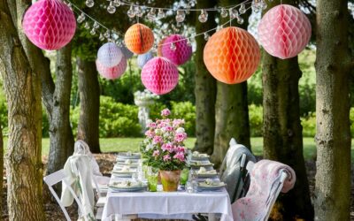 Kleur je tuin met de Geranium zomercollectie
