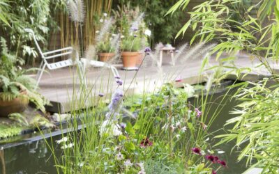 Groen tegen warmte